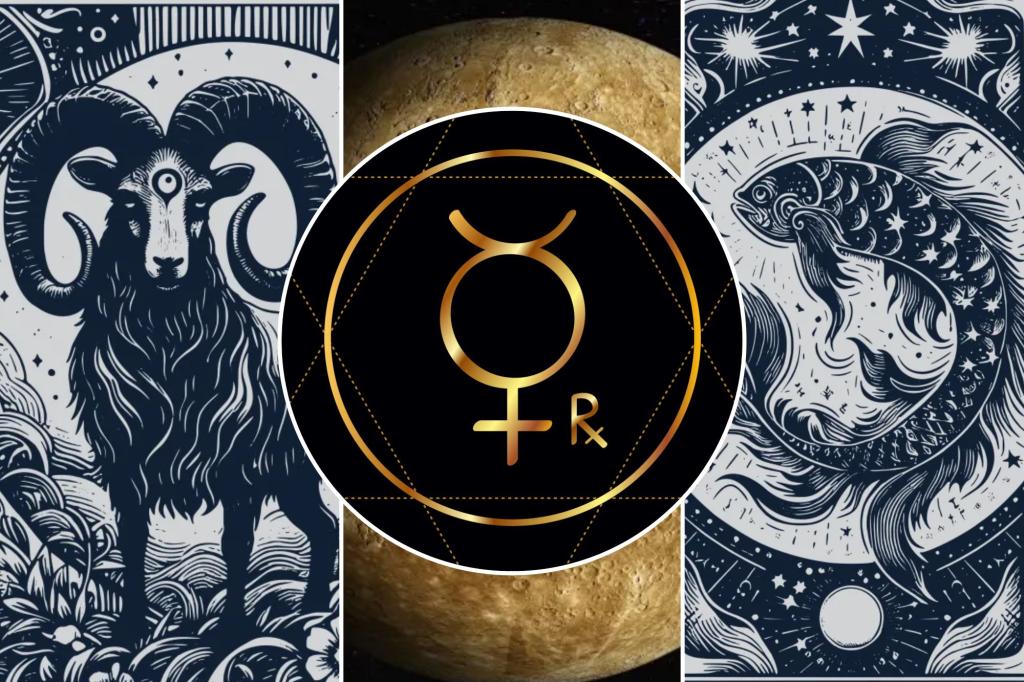 2025 Retrograde Mercury in Dashi and Pisces: How to Survive and Flower