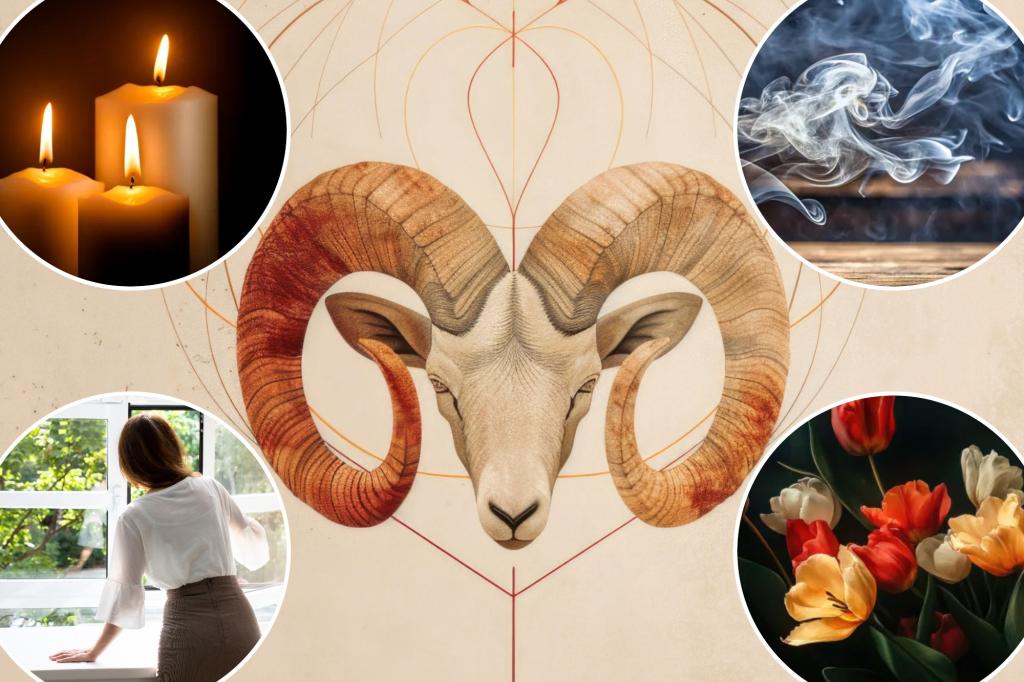 A Guide to Witches for Cleaning the Spring Equinox and Cleaning the Dashi Season