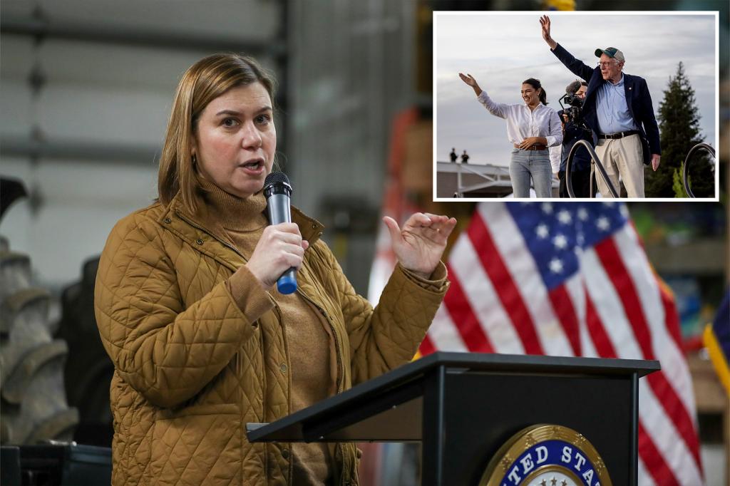 Sen. Elissa Slotkin calls the Democrats for 'weak and smart', encourages colleagues to 'recover the flag'